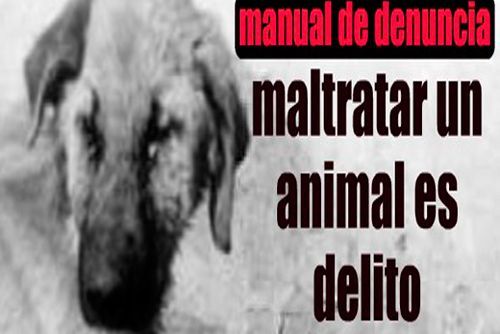 Foto de archivo maltrato animal