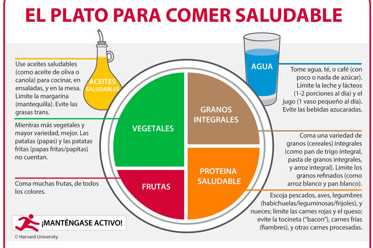 Aliméntate y disfruta