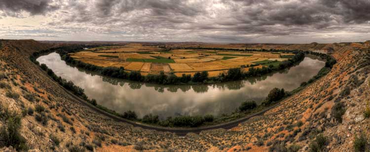 Meandro de Cinco Olivas, en la Ribera Baja del Ebro. Foto: Jorge Tejel