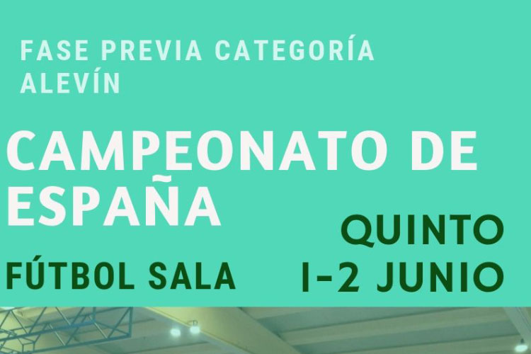 Campeonato de España alevín