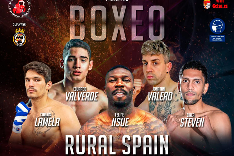 Boxeo
