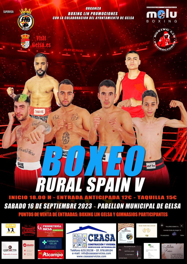 Boxeo Gelsa