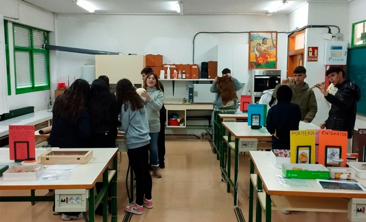 Instituto Fuentes