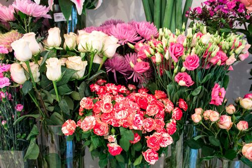 Foto de archivo floristería