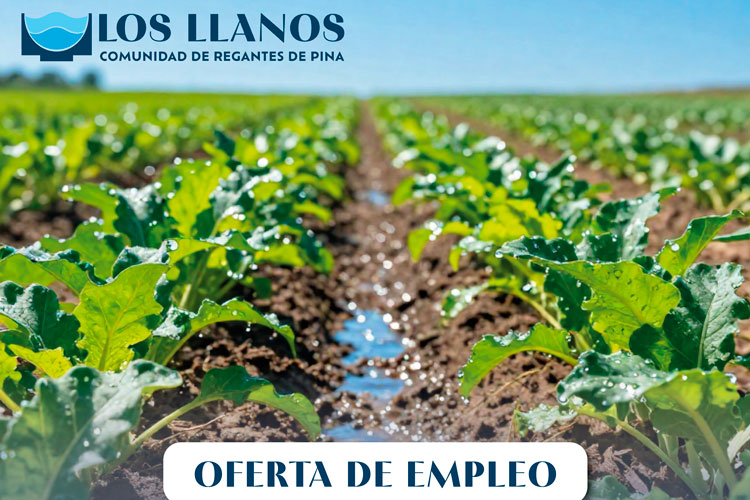 Oferta empleo Los Llanos