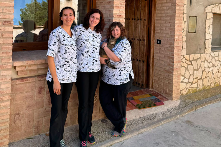 Veterinaria Alborge