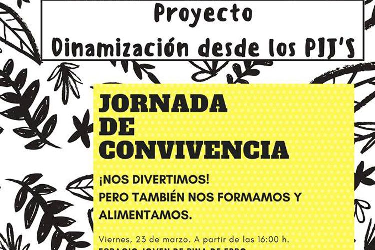 Cartel dinamización PIJ'S