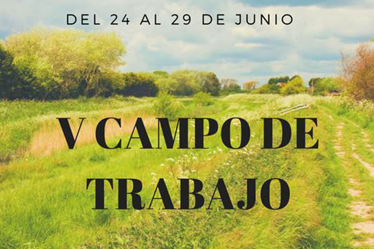 Campo trabajo