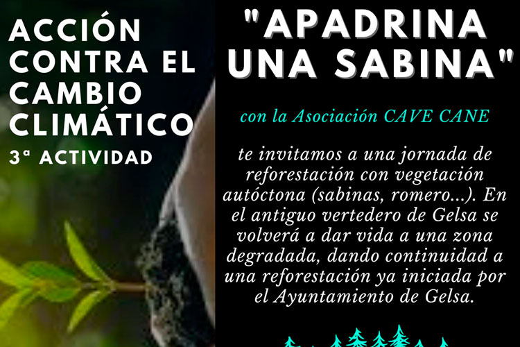 Apadrina una sabina