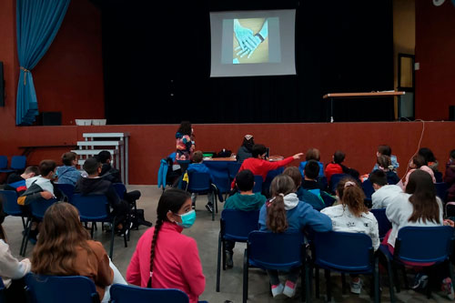 Taller de Pina