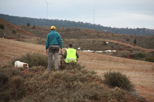 Imagen de archo Gobierno de Aragón caza y pesca licencias