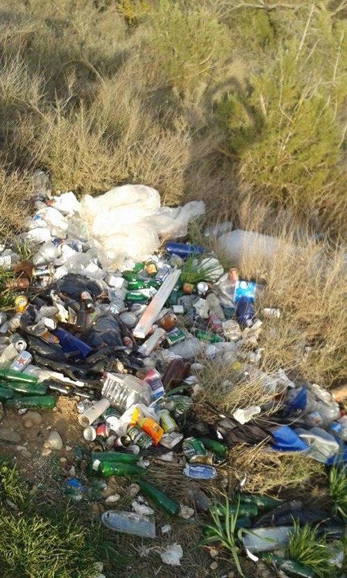 20160223-zafarache-medio-ambiente-Ebro3