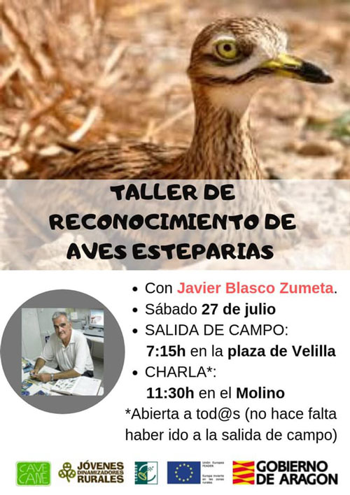 20190725-zafarache-medio-ambiente-taller-aves