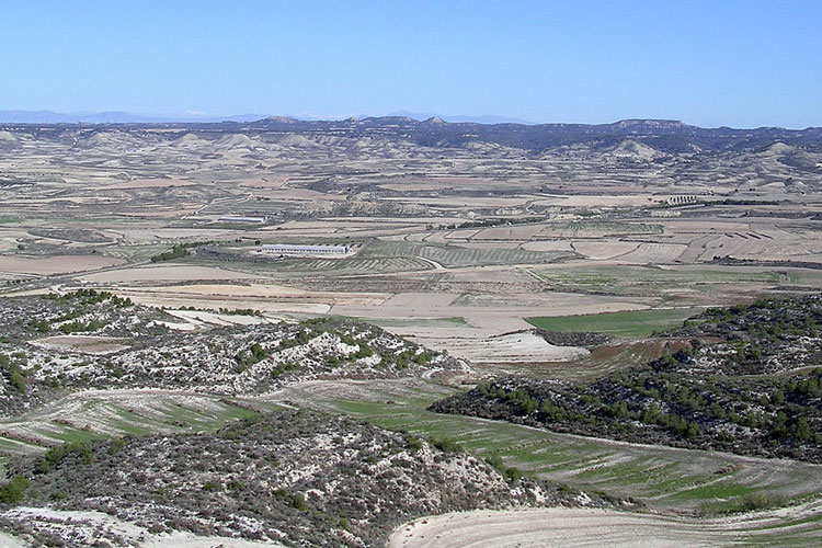 Monegros