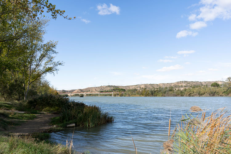 Foto de archivo del entorno del río en Escatrón
