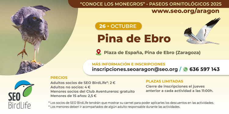 Aves en Pina