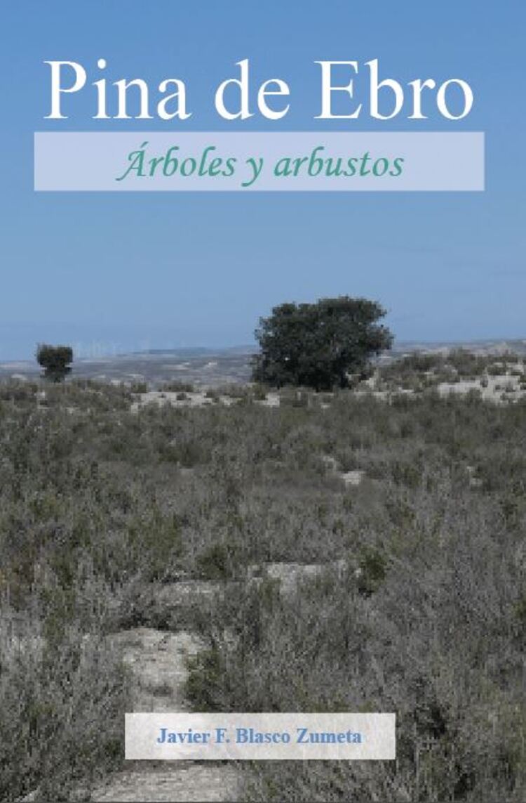 Portada del nuevo libro de Javier Blasco.