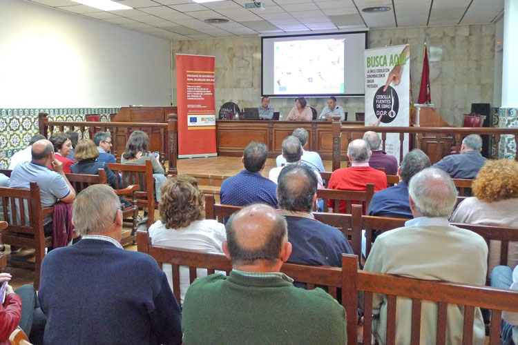 Cebolla Fuentes DOP