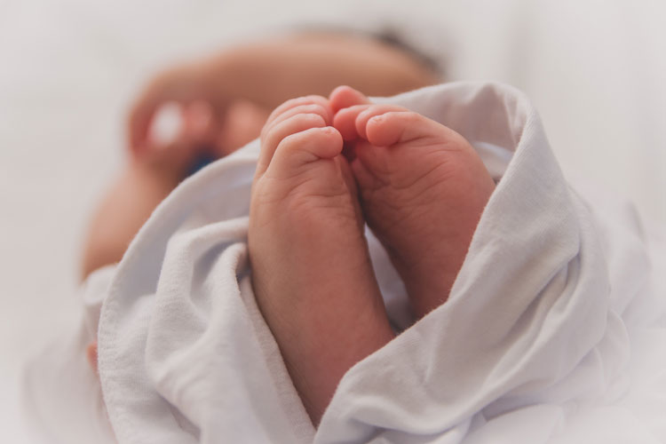 bajas maternidad