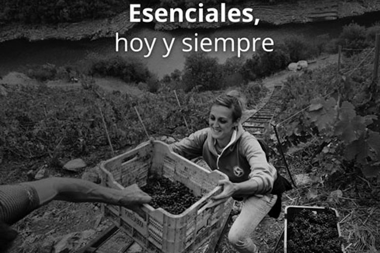Foto rural concurso