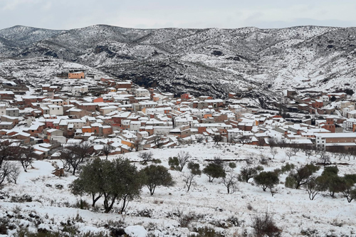 20210111 zafarache sociedad nevada quinto