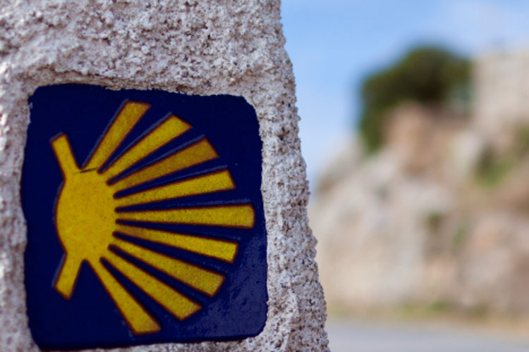 Camino de Santiago