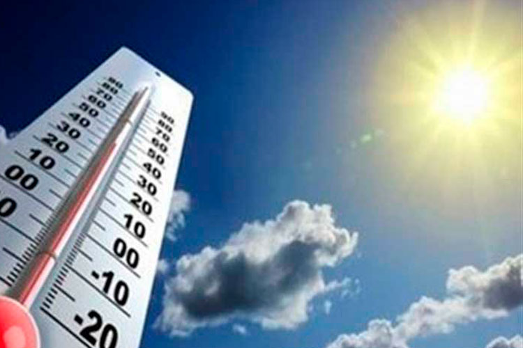 Termómetro calor