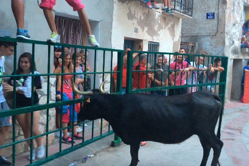 20150903-zafarache-Escatron-fiestas-vaquillas