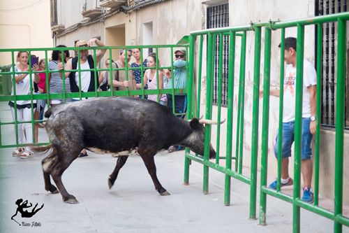 20170830-zafarache-escatron-fiestas3