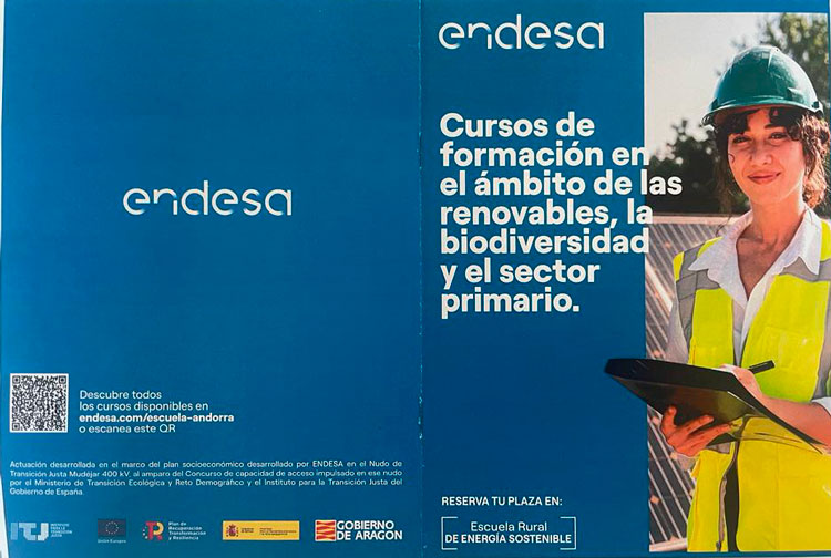 Endesa formación