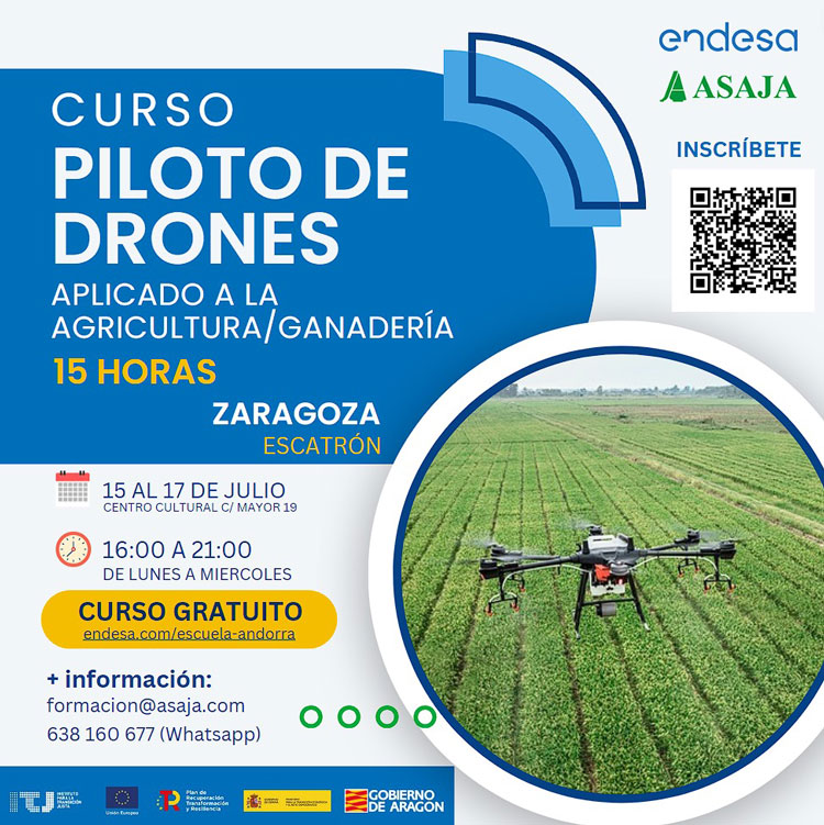 Piloto drones