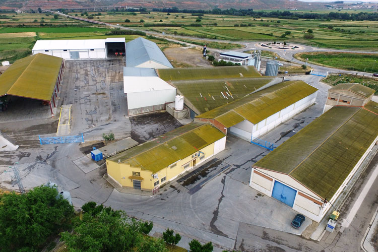 Imagen aérea de la cooperativa de Gelsa