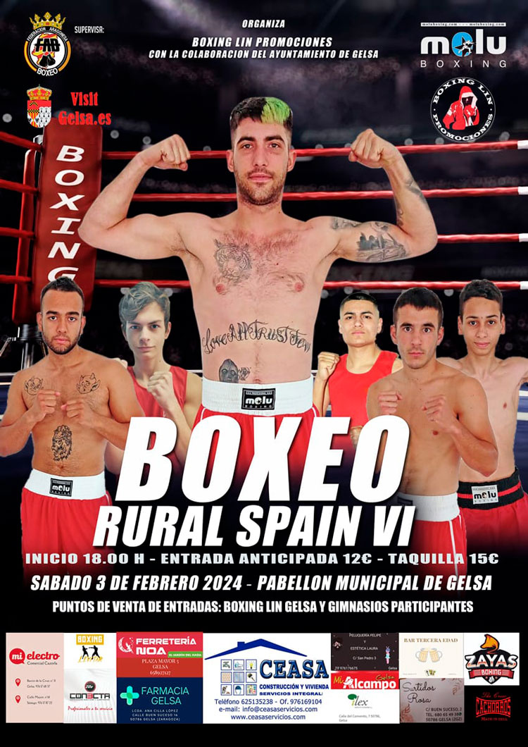 Boxeo Gelsa