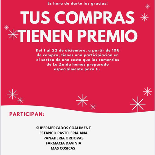 20201202 zafarache la zaida comercio local