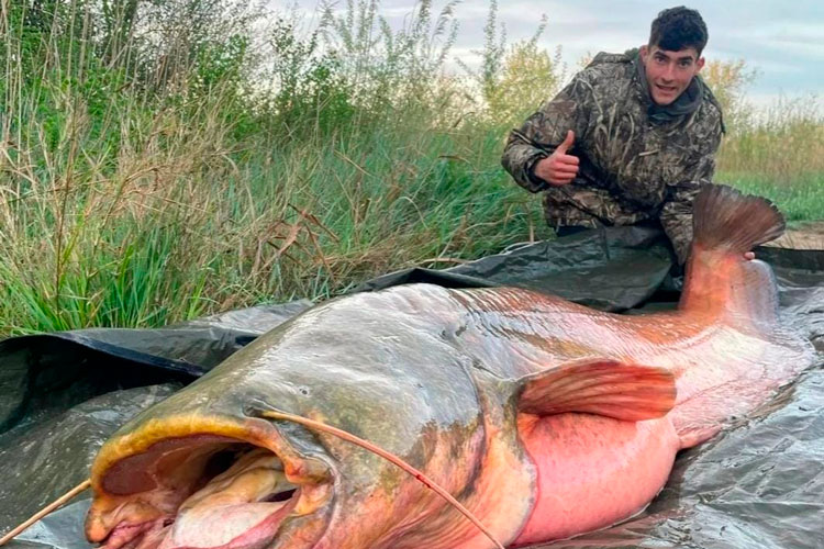 Pesca Daniel Planas
