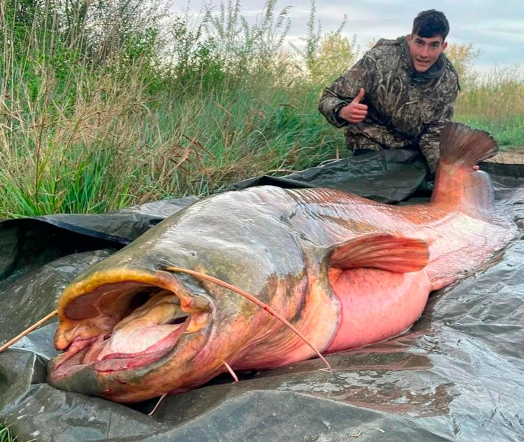 Pesca Daniel Planas
