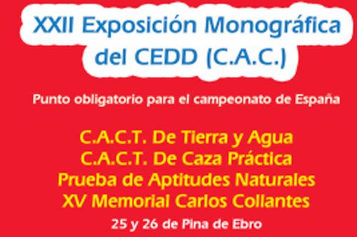 Exposición canina en Pina