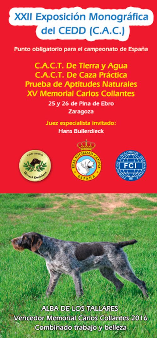20171123-zafarache-pina-perros