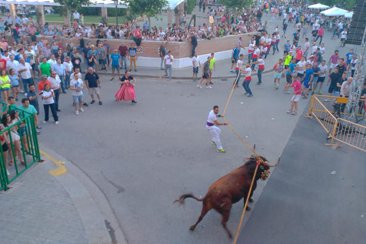 Imagen de archivo de la fiesta del toro de soga en Pina de 2018