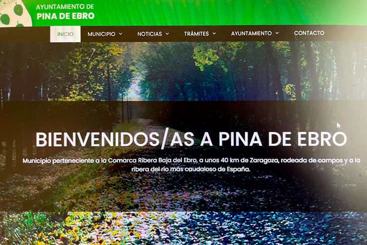 Web de Pina