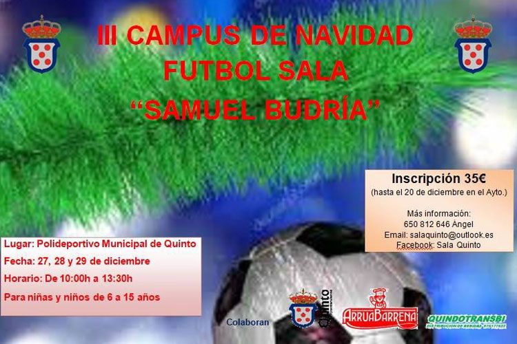 campus fútbol sala Quinto