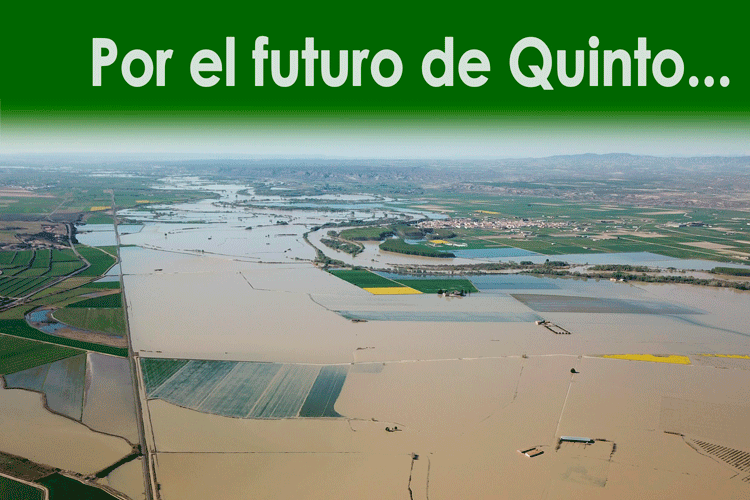 Quinto recogida firmas
