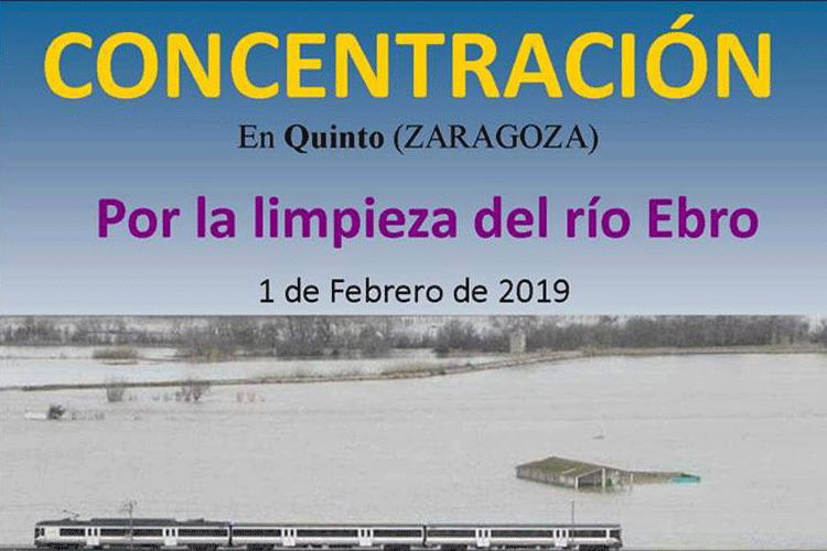 Concentración Quinto