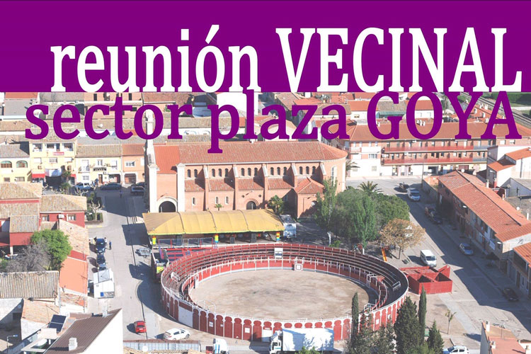 Cartel sector Goya