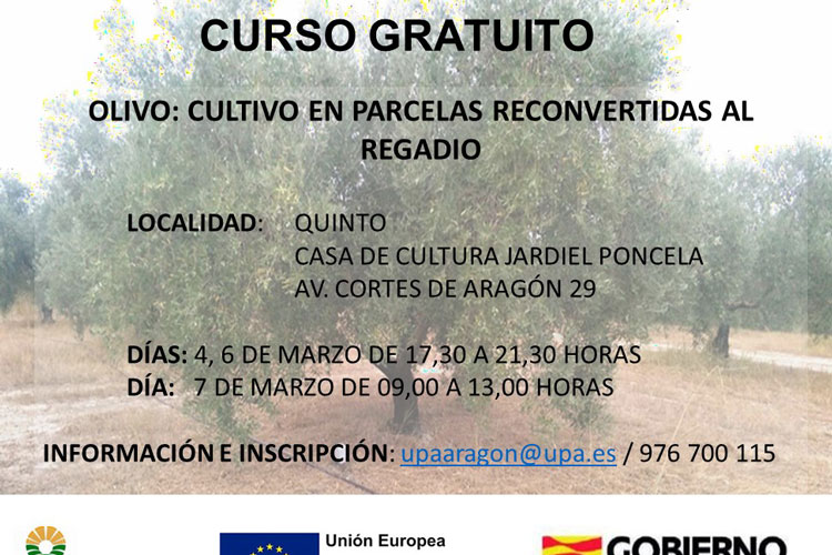 Poda olivo curso