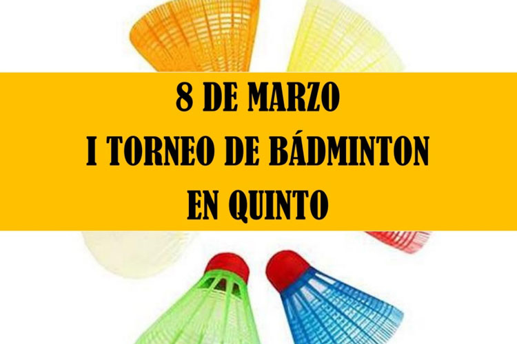 I torneo badminton Quinto
