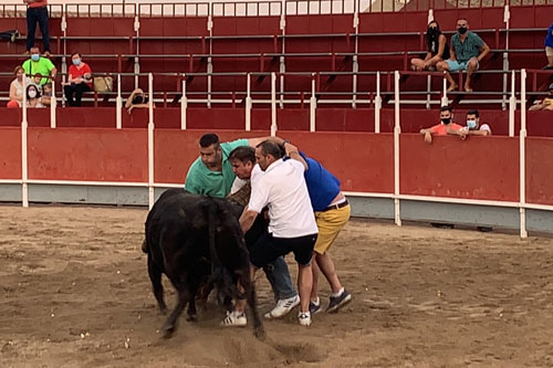 20210730 zafarache quinto fiestas 6
