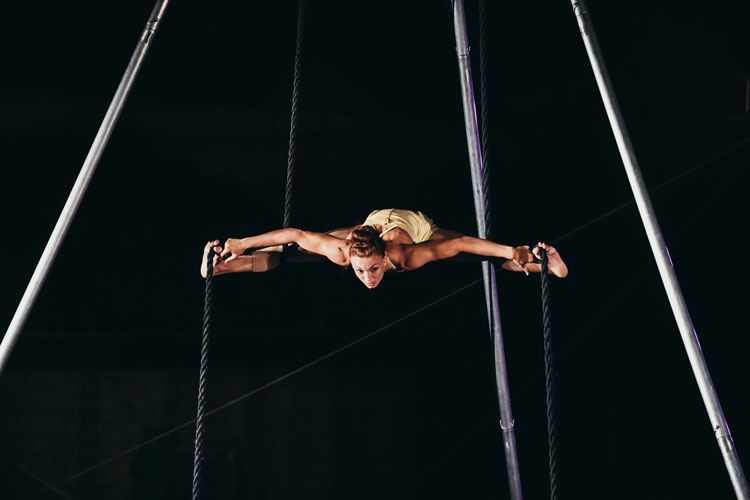 Festival circo se escribe sin H