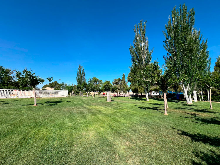 Piscinas de Quinto