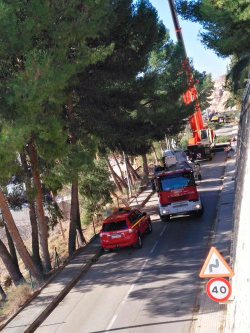 20180129-zafarache-sastago-tala-arboles